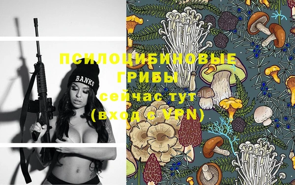 крисы Медногорск