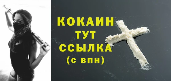 крисы Медногорск