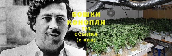 крисы Медногорск