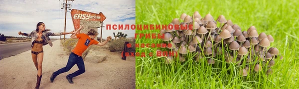 крисы Медногорск