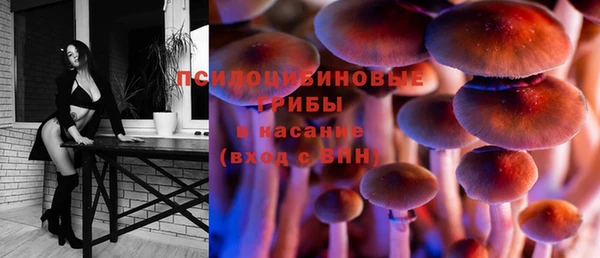 мдма Медвежьегорск
