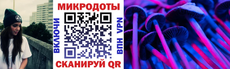 Псилоцибиновые грибы Cubensis  как найти   Шахты 