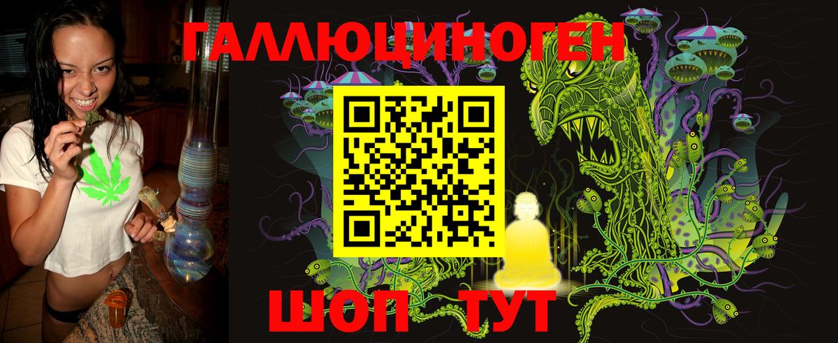 купить  цена  Шахты  Галлюциногенные грибы Psilocybine cubensis 