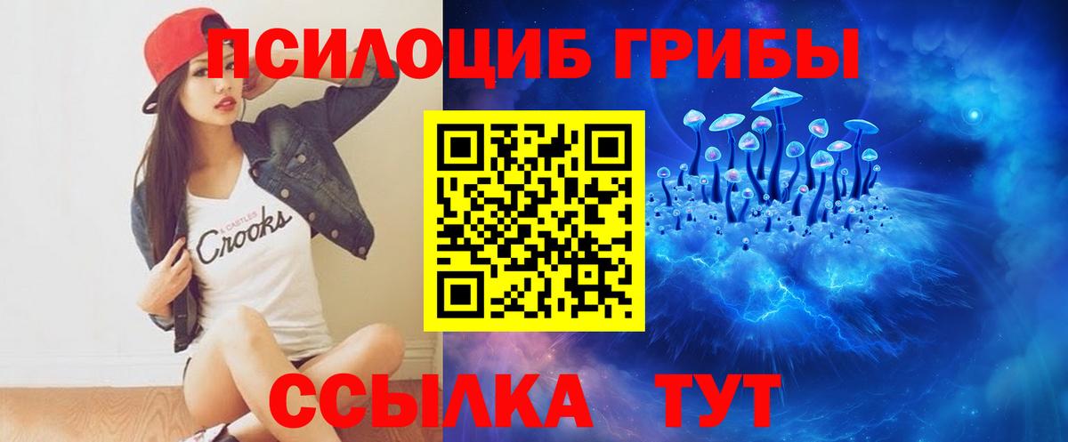 Псилоцибиновые грибы GOLDEN TEACHER  Галлюциногенные грибы Psilocybine cubensis  Вход с VPN  Шахты 