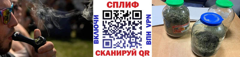 Бошки Шишки план  цены   Шахты 